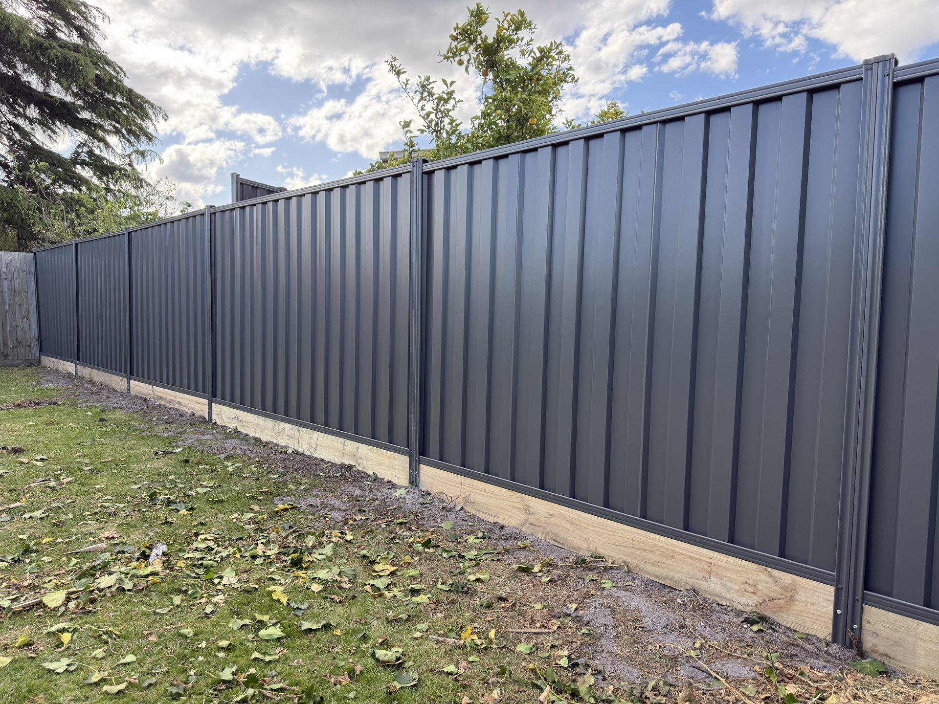 Colorbond fence, garden side — Melbourne