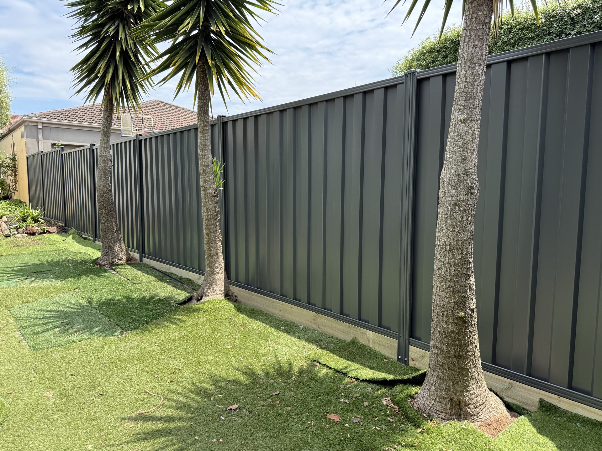 Colorbond fence with palm trees — Melbourne
